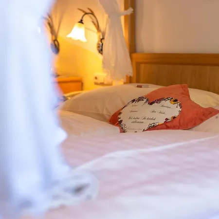 Hotel - Scheiblechner 3*